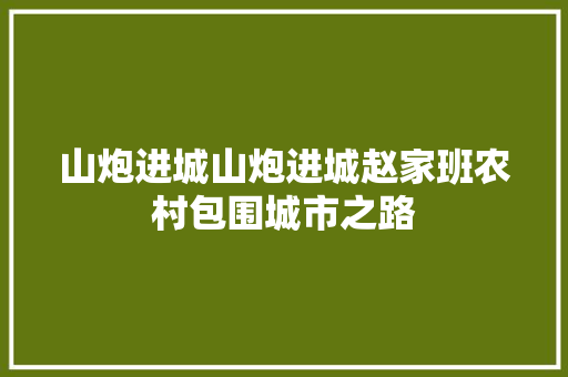 山炮进城山炮进城赵家班农村包围城市之路