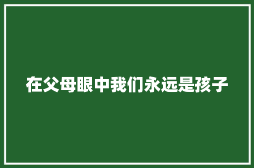 在父母眼中我们永远是孩子