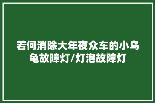 若何消除大年夜众车的小乌龟故障灯/灯泡故障灯