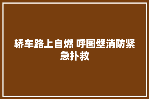 轿车路上自燃 呼图壁消防紧急扑救