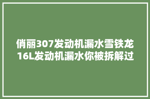 俏丽307发动机漏水雪铁龙16L发动机漏水你被拆解过缸盖吗