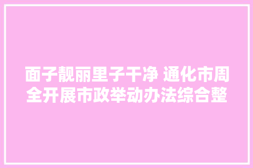 面子靓丽里子干净 通化市周全开展市政举动办法综合整治