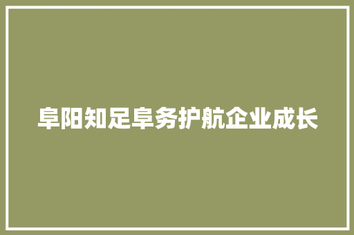 阜阳知足阜务护航企业成长