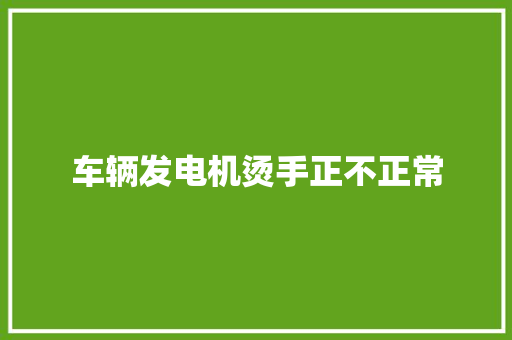 车辆发电机烫手正不正常