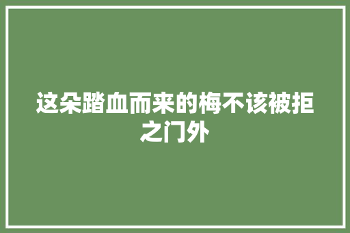 这朵踏血而来的梅不该被拒之门外