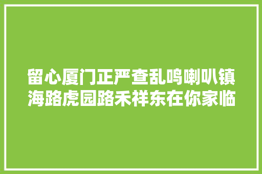 留心厦门正严查乱鸣喇叭镇海路虎园路禾祥东在你家临近吗