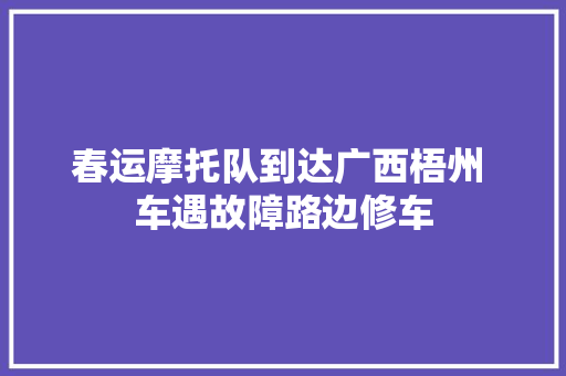 春运摩托队到达广西梧州 车遇故障路边修车