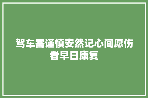 驾车需谨慎安然记心间愿伤者早日康复
