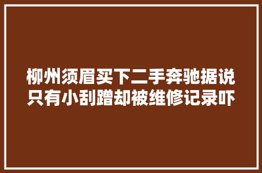 柳州须眉买下二手奔驰据说只有小刮蹭却被维修记录吓傻了