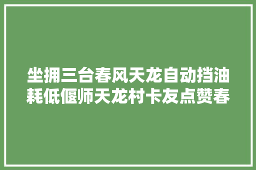 坐拥三台春风天龙自动挡油耗低偃师天龙村卡友点赞春风商用车