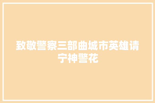 致敬警察三部曲城市英雄请宁神警花