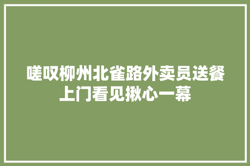 嗟叹柳州北雀路外卖员送餐上门看见揪心一幕
