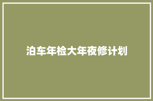 泊车年检大年夜修计划