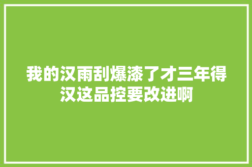 我的汉雨刮爆漆了才三年得汉这品控要改进啊