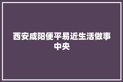 西安咸阳便平易近生活做事中央