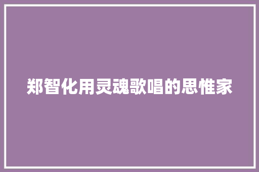 郑智化用灵魂歌唱的思惟家