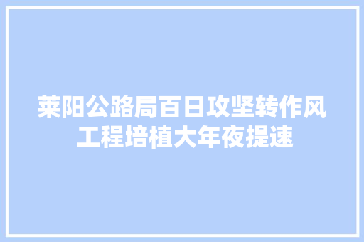 莱阳公路局百日攻坚转作风 工程培植大年夜提速