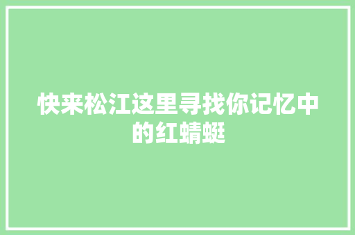 快来松江这里寻找你记忆中的红蜻蜓