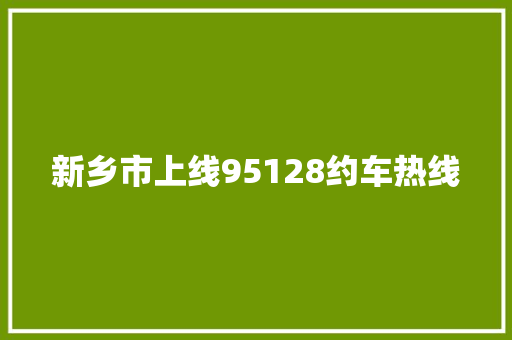 新乡市上线95128约车热线