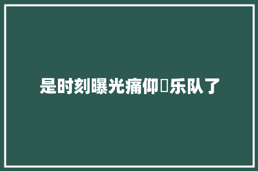 是时刻曝光痛仰​乐队了