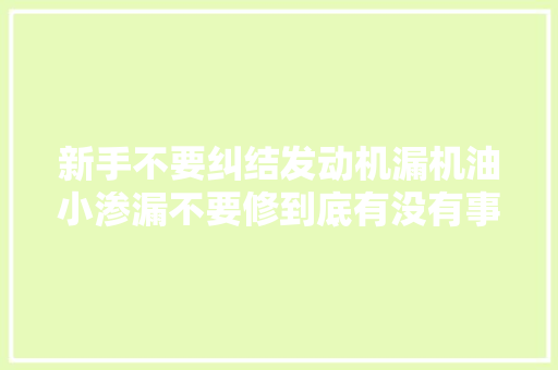 新手不要纠结发动机漏机油小渗漏不要修到底有没有事理