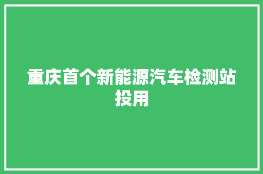 重庆首个新能源汽车检测站投用