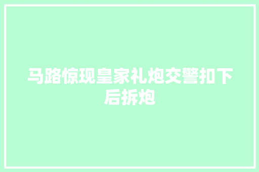 马路惊现皇家礼炮交警扣下后拆炮