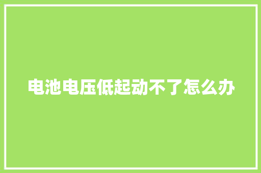 电池电压低起动不了怎么办