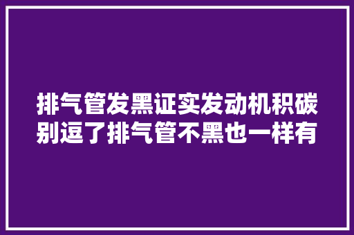 排气管发黑证实发动机积碳别逗了排气管不黑也一样有