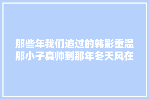 那些年我们追过的韩影重温那小子真帅到那年冬天风在吹