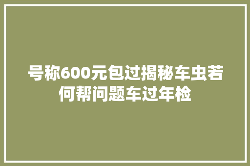 号称600元包过揭秘车虫若何帮问题车过年检