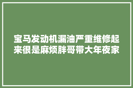 宝马发动机漏油严重维修起来很是麻烦胖哥带大年夜家理解一下