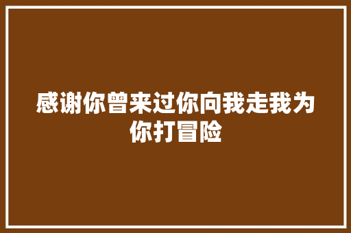 感谢你曾来过你向我走我为你打冒险