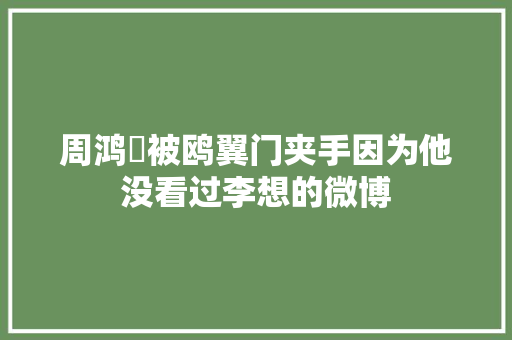 周鸿祎被鸥翼门夹手因为他没看过李想的微博