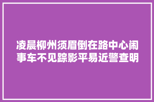 凌晨柳州须眉倒在路中心闹事车不见踪影平易近警查明原形