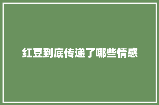 红豆到底传递了哪些情感