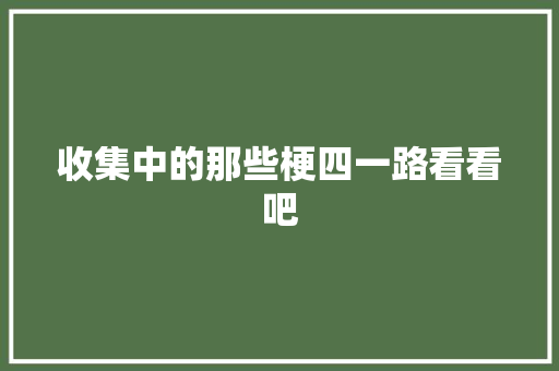 收集中的那些梗四一路看看吧
