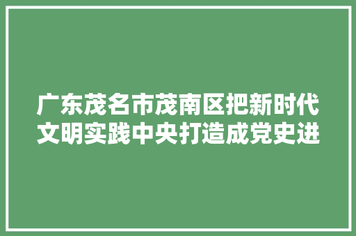 广东茂名市茂南区把新时代文明实践中央打造成党史进修教诲新阵地