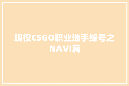 现役CSGO职业选手绰号之NAVI篇