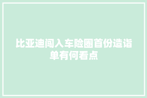 比亚迪闯入车险圈首份造诣单有何看点