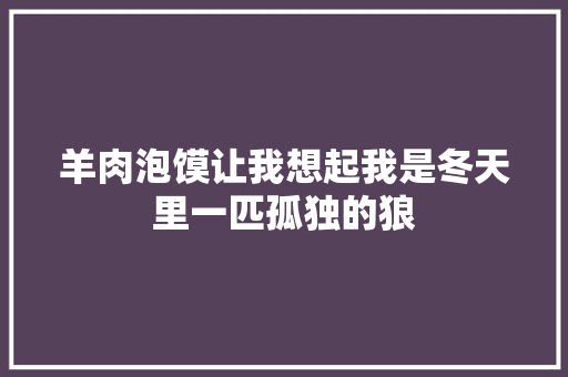 羊肉泡馍让我想起我是冬天里一匹孤独的狼