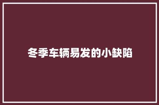 冬季车辆易发的小缺陷