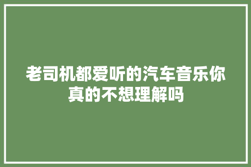 老司机都爱听的汽车音乐你真的不想理解吗