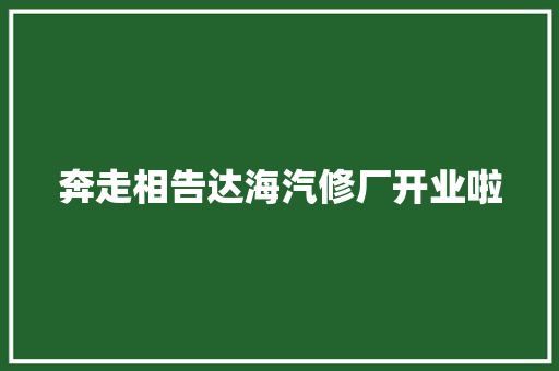 奔走相告达海汽修厂开业啦 汽车知识