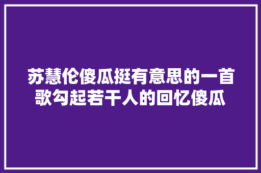 苏慧伦傻瓜挺有意思的一首歌勾起若干人的回忆傻瓜