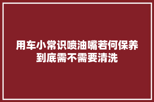 用车小常识喷油嘴若何保养到底需不需要清洗