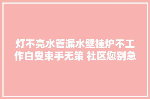 灯不亮水管漏水壁挂炉不工作白叟束手无策 社区您别急我们来了