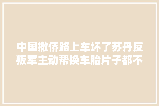 中国撤侨路上车坏了苏丹反叛军主动帮换车胎片子都不敢这么拍