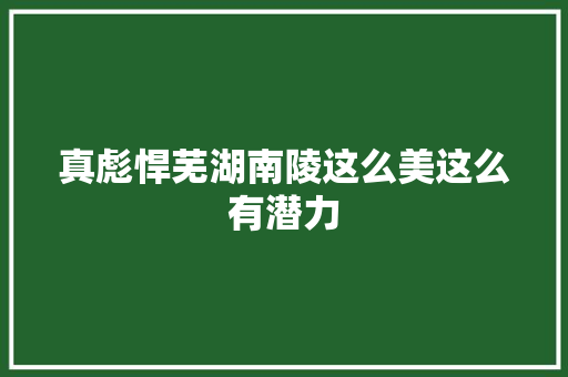 真彪悍芜湖南陵这么美这么有潜力