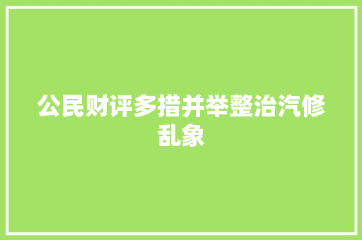 公民财评多措并举整治汽修乱象